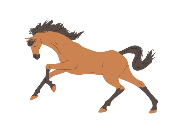 Belo Garanhão Correndo Cavalo Selvagem Ilustração Vetorial Plana Isolada Fundo — Vetor de Stock