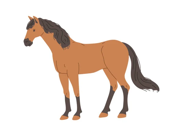 Stojący Brązowy Koń Ciemną Grzywą Ogonem Płaskim Stylu Ilustracja Wektor — Wektor stockowy