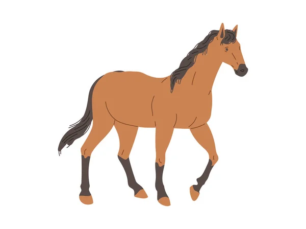 徹底的に飼育競馬立ってプロフィール フラットベクトルイラスト白の背景に隔離された エンブレムとグラフィックプリントデザインのための馬の動物の画像 — ストックベクタ