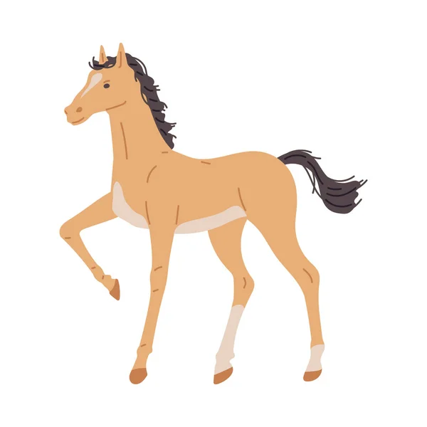 Bonito Cavalo Bebê Potro Ilustração Vetorial Plana Isolado Fundo Branco — Vetor de Stock