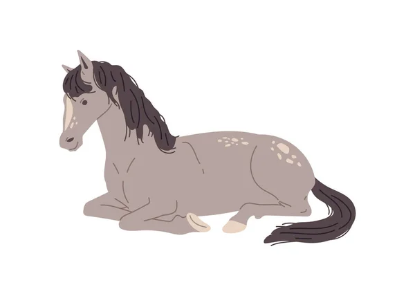 Cavalo Cinzento Deitado Ilustração Vetorial Plana Isolada Sobre Fundo Branco —  Vetores de Stock