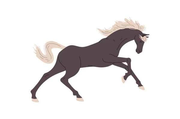 Running Black Horse Flat Style Vector Illustration Isolated White Background — Stock Vector