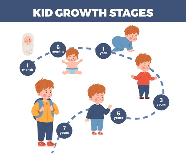 Kid Tillväxt Stadier Infographic Platt Vektor Illustration Isolerad Vit Bakgrund — Stock vektor