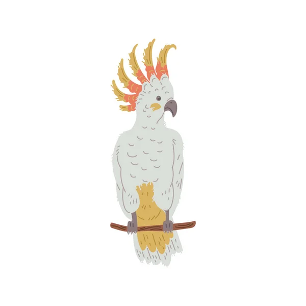 Cockatoo parrot on branch, hand drawn flat vector illustration isolated on white background. Exotic Australian animal. Bird with yellow crest. Concepts of kids education and ornithology.