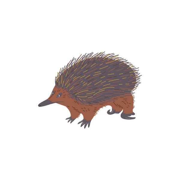 Cute Echidna Animal Hand Drawn Flat Vector Illustration Isolated White — Stock Vector