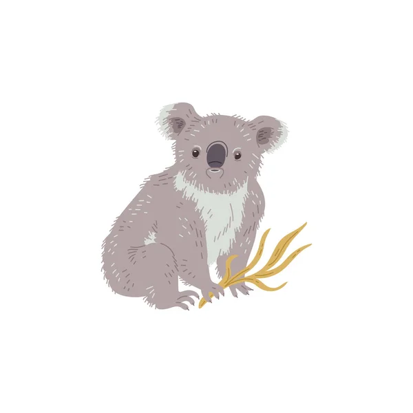 Australische Koala Arboreale Beer Zeldzame Dier Cartoon Karakter Platte Stijl — Stockvector