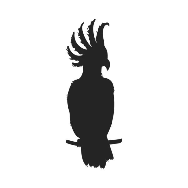 Černá Silueta Cockatoo Sedí Větvi Australského Ptáka Plochý Styl Vektorové — Stockový vektor