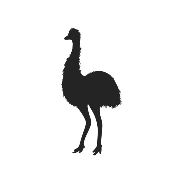 Emu Ausztrál Madár Fekete Körvonal Sziluett Ikon Vektor Illusztráció Elszigetelt — Stock Vector