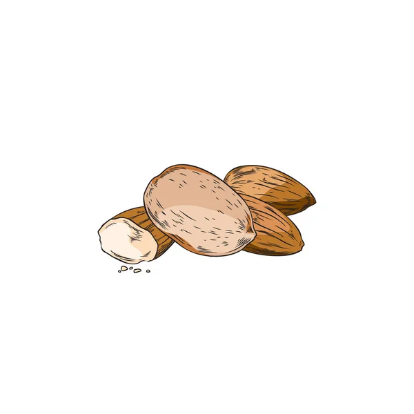Tumpukan Kacang Almond Gambar Tangan Vektor Gambar Ilustrasi Terisolasi Pada - Stok Vektor