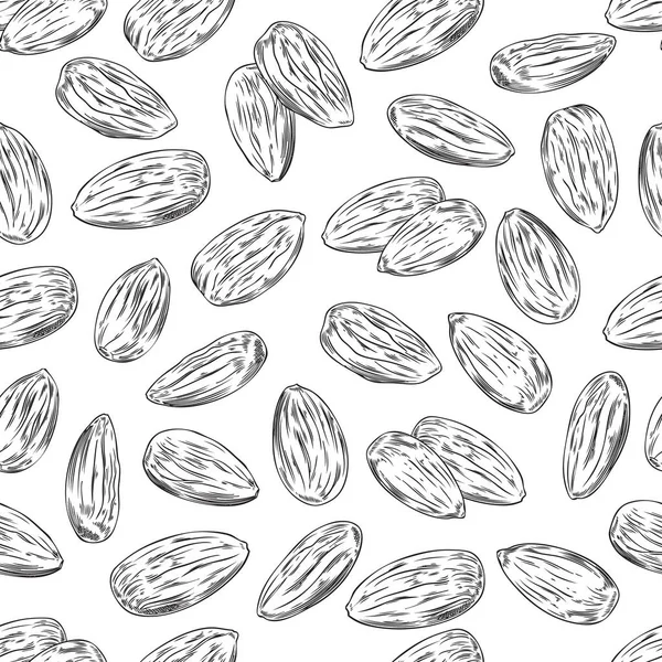 Pola Mulus Dengan Gambar Tangan Gaya Sketsa Kacang Almond Monokrom - Stok Vektor