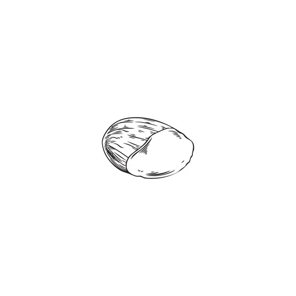 切成半个杏仁 手绘素描版画风格矢量图解 在白色背景上孤立 用于食品包装设计的单切杏仁 — 图库矢量图片