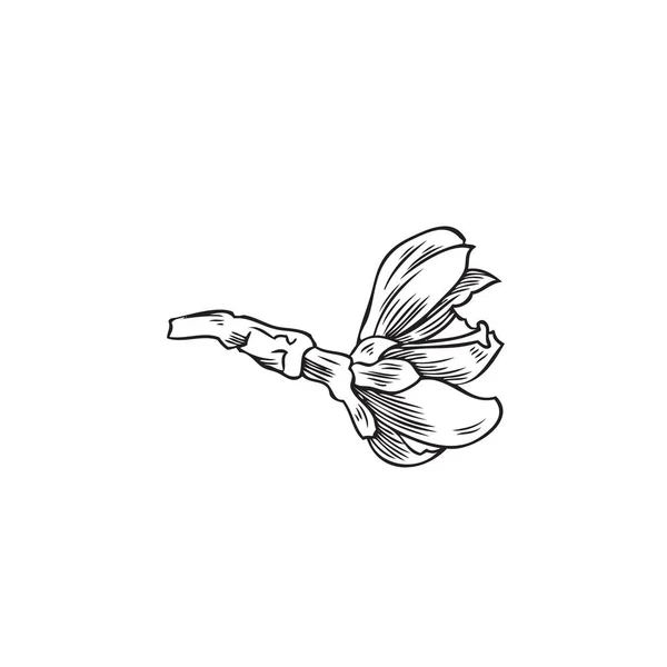 Цветок Миндального Дерева Монохромная Векторная Иллюстрация Белом Фоне Цветущий Цветок — стоковый вектор