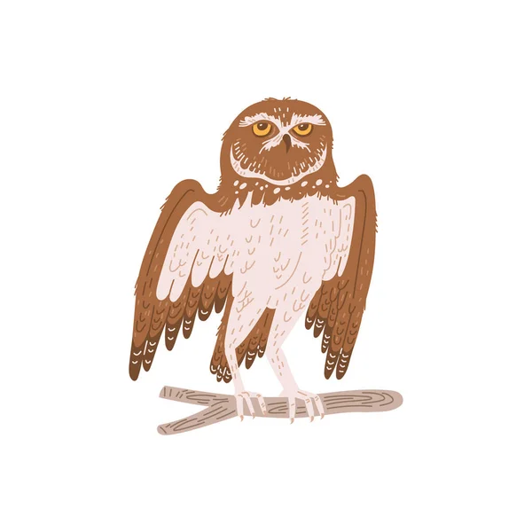 Sowa Dziki Ptak Symbol Mądrości Wiedzy Płaski Wektor Ilustracji Izolowane — Wektor stockowy