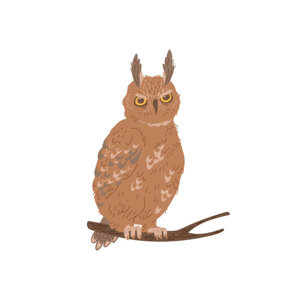 Owl bird sitting on branch, flat vector illustration isolated on white background. Hand drawn bird animal. Concepts of nature and wildlife.