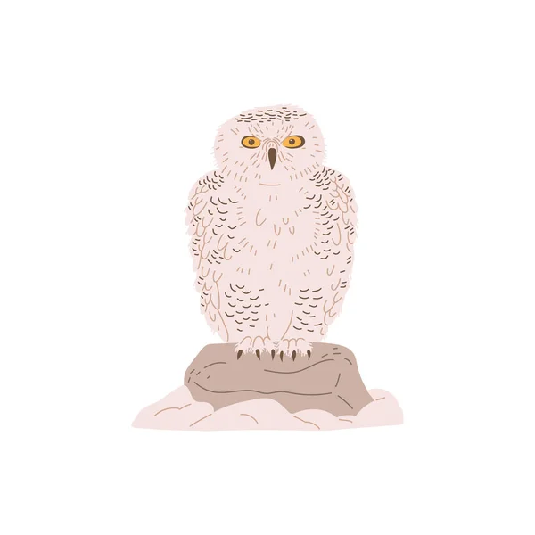 严重的极性猫头鹰坐在石头扁平的风格上 矢量图形孤立在白色背景上 掠食性鸟类 森林动物 装饰设计元素 — 图库矢量图片