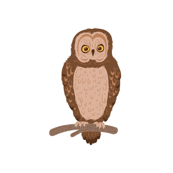 Owl or owlet nocturnal forest bird character sitting on tree branch, flat vector illustration isolated on white background. Brown night owl or eagle-owl.