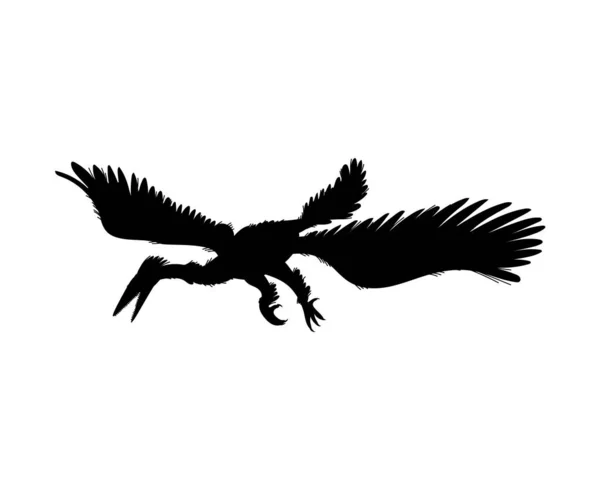 Enantiornis Dinozaur Ikona Czarnej Sylwetki Ilustracja Wektorowa Izolowana Białym Tle — Wektor stockowy