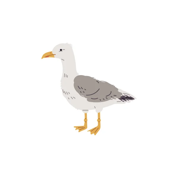 Vector Illustration Sea Gull Concept Sea Birds Hand Drawn Cartoon — Stock Vector