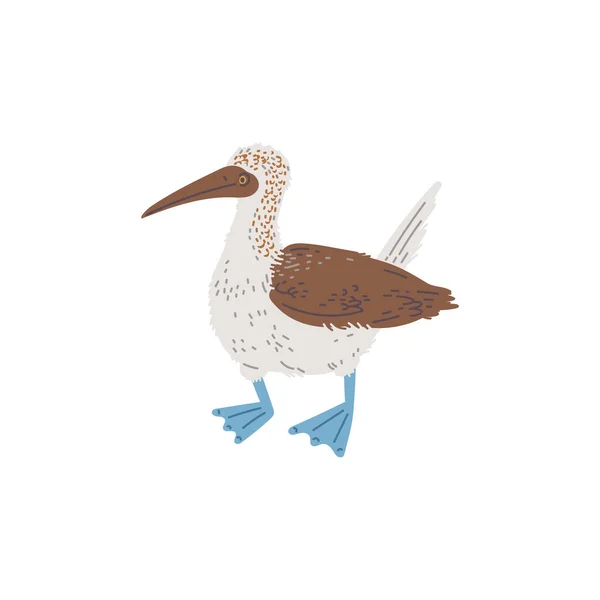 Uccello Marino Gannet Disegno Vettoriale Piatto Disegnato Mano Isolato Sfondo — Vettoriale Stock