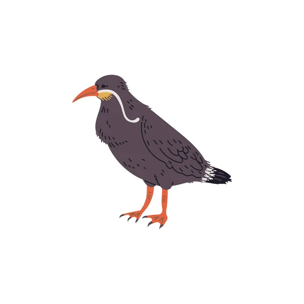 Ilustração Vetorial Pássaro Inca Tern Único Com Longo Bigode Branco —  Vetores de Stock