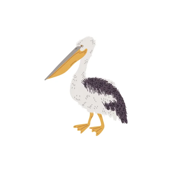 Pájaro Pelícano Dibujado Mano Ilustración Vectorial Plana Aislada Sobre Fondo — Vector de stock