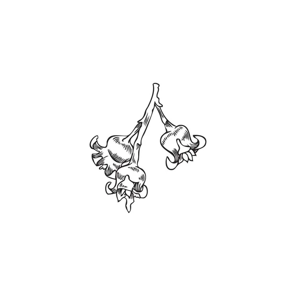 Рука Намальована Векторна Група Квітів Чорної Смородини Пилок Сад Ожини — стоковий вектор