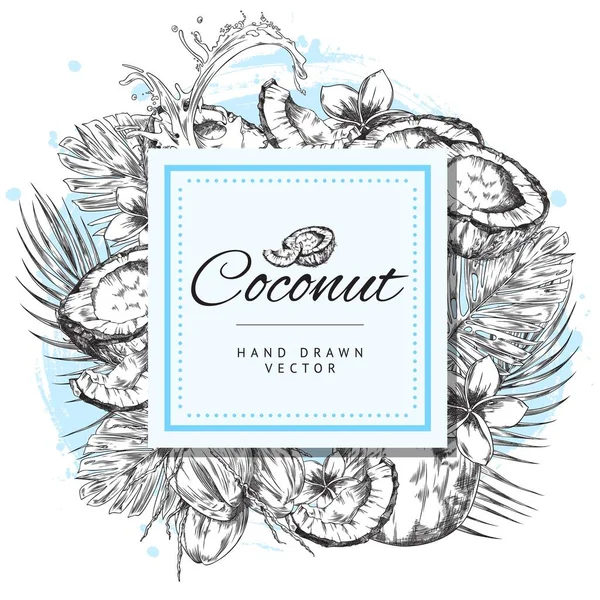 Handgezeichneter Dekorativer Rahmen Mit Kokosnüssen Skizzenstil Vektorillustration Isoliert Auf Weißem — Stockvektor