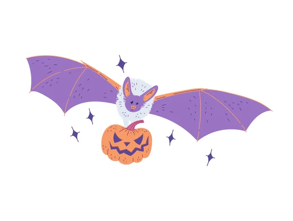 可爱的卡通蝙蝠 爪子上有个邪恶的南瓜 恭喜你紫色蝙蝠的性格在白色背景上孤立的向量图解 为一个有趣的孩子的万圣节晚会装饰 — 图库矢量图片