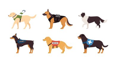 Various assistance and working dogs set, flat vector illustration isolated on white background. Guide dog for blind people, police and security dog and rescue animal. clipart