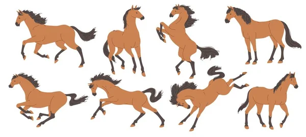 Horse Animal Set Motion Flat Vector Illustration Isolated White Background — Stock Vector