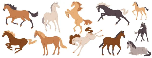 Various Horses Set Flat Vector Illustration Isolated White Background Horses — Stock Vector
