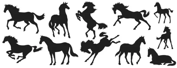 Horses Motion Black Silhouettes Collection Vector Illustration Isolated White Background — Stock Vector