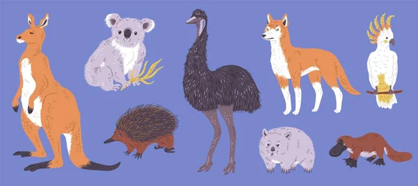 Set Animali Selvatici Australiani Illustrazione Vettoriale Piatta Isolata Sfondo Blu — Vettoriale Stock