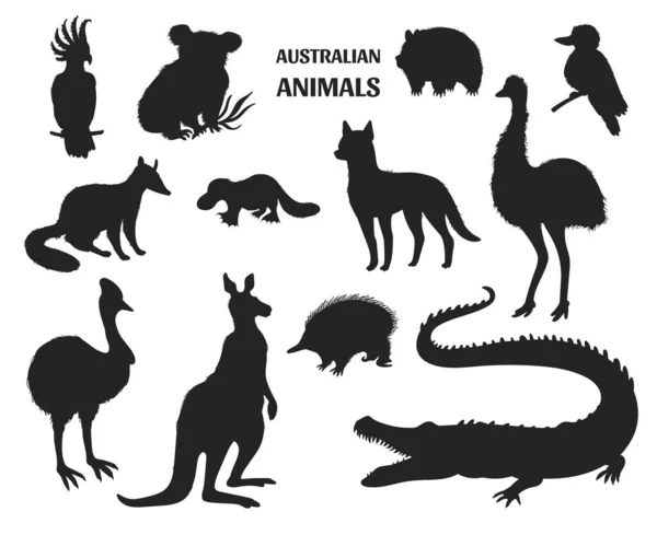 Szett Fekete Sziluettek Ausztrál Állatok Vektor Illusztráció Elszigetelt Fehér Háttér — Stock Vector