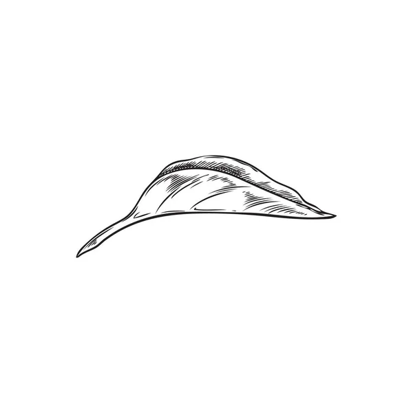 Monochromes Blatt Handgezeichneten Skizzenstil Vektorillustration Isoliert Auf Weißem Hintergrund Chilipfeffer — Stockvektor