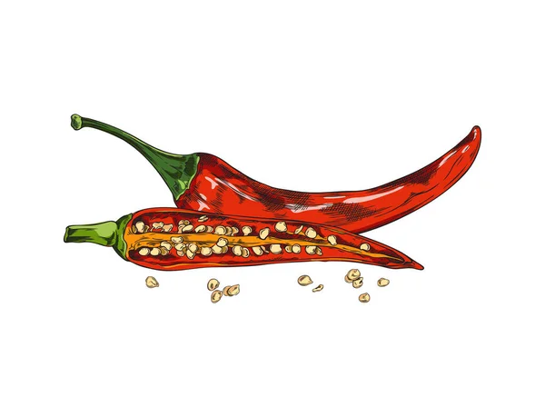 Полтора Перца Чили Семенами Красный Кайенский Перец Чили Пряные Органические — стоковый вектор