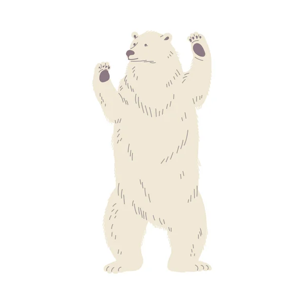 Duży Niedźwiedź Polarny Stoi Tylnych Nogach Płaski Styl Wektor Ilustracji — Wektor stockowy