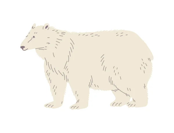 Bonito Urso Polar Estilo Plano Ilustração Vetorial Isolado Fundo Branco —  Vetores de Stock