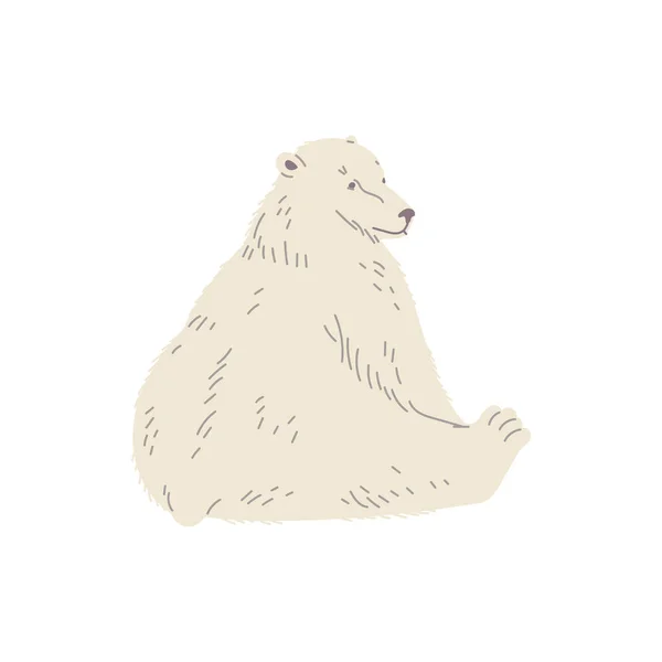 Забавный Сидящий Полярный Медведь Плоского Стиля Векторная Иллюстрация Изолирована Белом — стоковый вектор