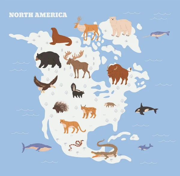 Amérique Nord Animaux Faune Sur Fond Carte Illustration Vectorielle Plate — Image vectorielle