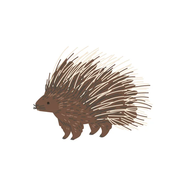带有羽毛的豪猪 白色背景上孤立的平面矢量插图 手绘北美动物 自然和野生生物的概念 — 图库矢量图片