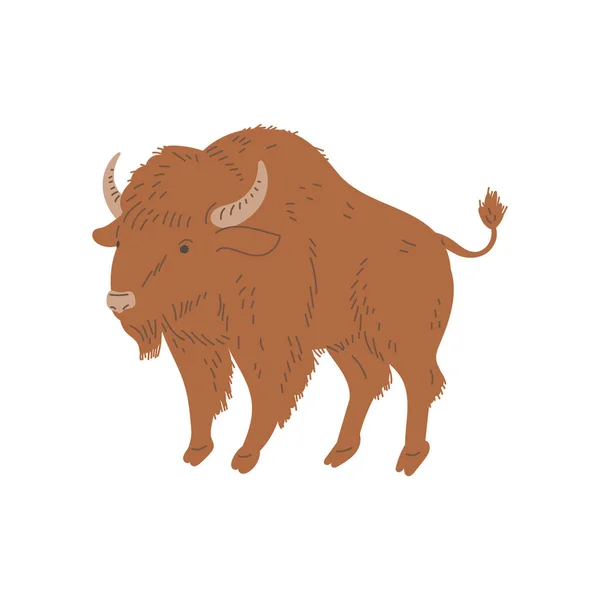 Búfalo Bisonte Norteamericano Ilustración Vectorial Plana Aislada Sobre Fondo Blanco — Vector de stock