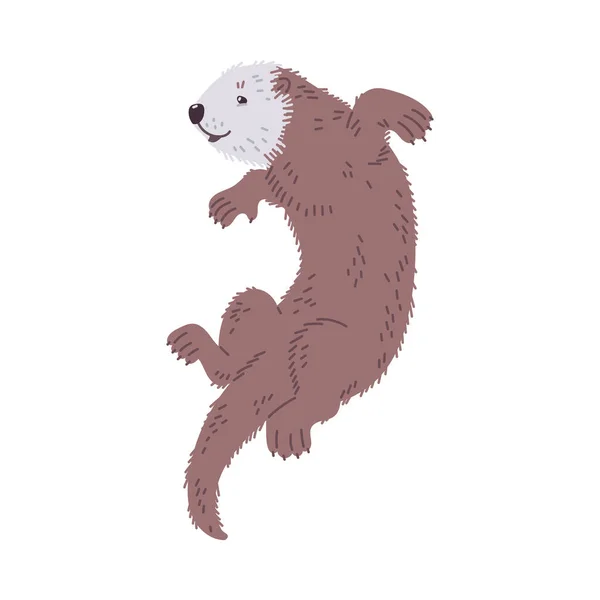 Otter Carácter Animal Mamífero Semi Acuático Que Come Peces Ilustración — Archivo Imágenes Vectoriales