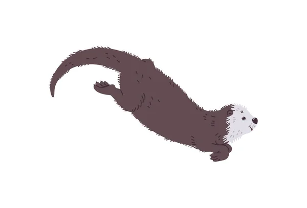 Cute Cartoon Sea Otter Floating Side View Vector Illustration Wildlife — Stock Vector