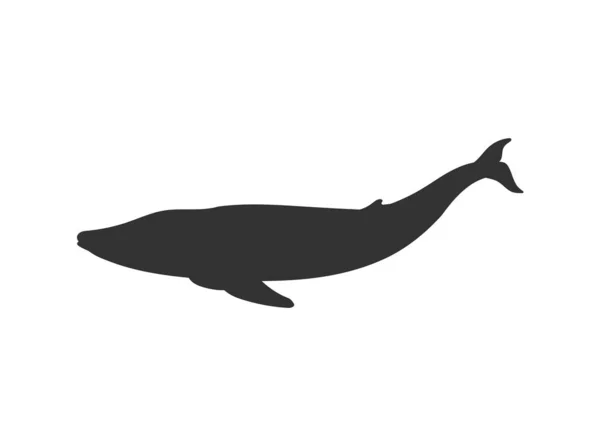 고래의 실루엣 개념에 캐릭터 배경에 사이드 포유류 수영의 프로필 — 스톡 벡터