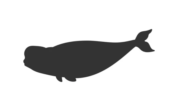 Illustration Vectorielle Baleine Blanche Personnage Dessin Animé Pour Faune Marine — Image vectorielle