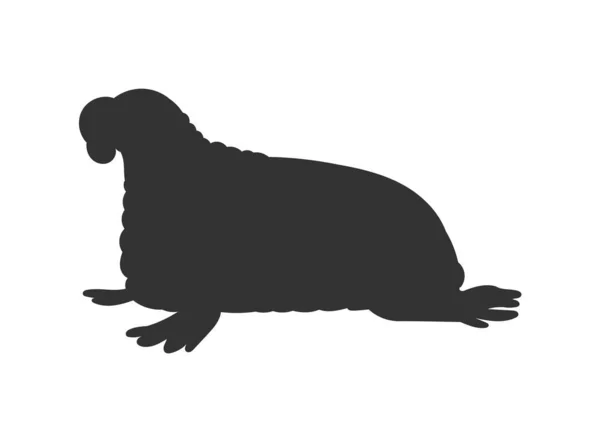 Zwart Silhouet Van Walrus Zeezoogdier Platte Stijl Vector Illustratie Geïsoleerd — Stockvector