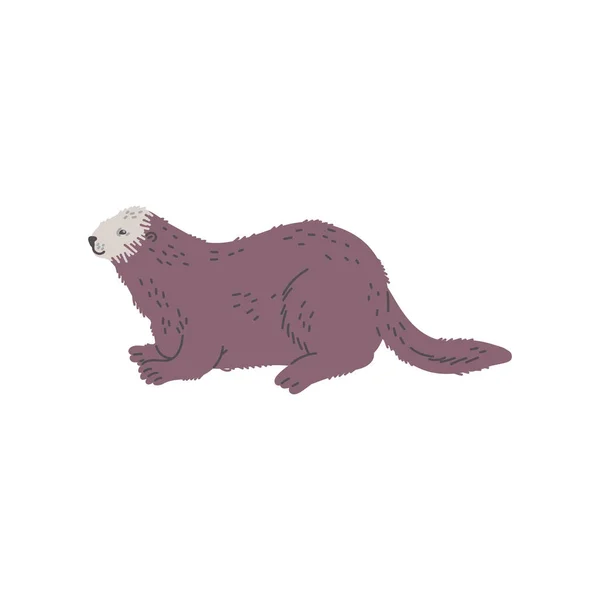 Schattig Zittende Otter Zeezoogdier Platte Stijl Vector Illustratie Geïsoleerd Witte — Stockvector