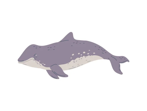 Huge Whale Marine Mammal Flat Style Vector Illustration Isolated White — Stock Vector