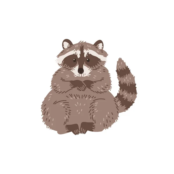 Raccoon American Mammal Cartoon Character Flat Vector Illustration Isolated White — Stock Vector